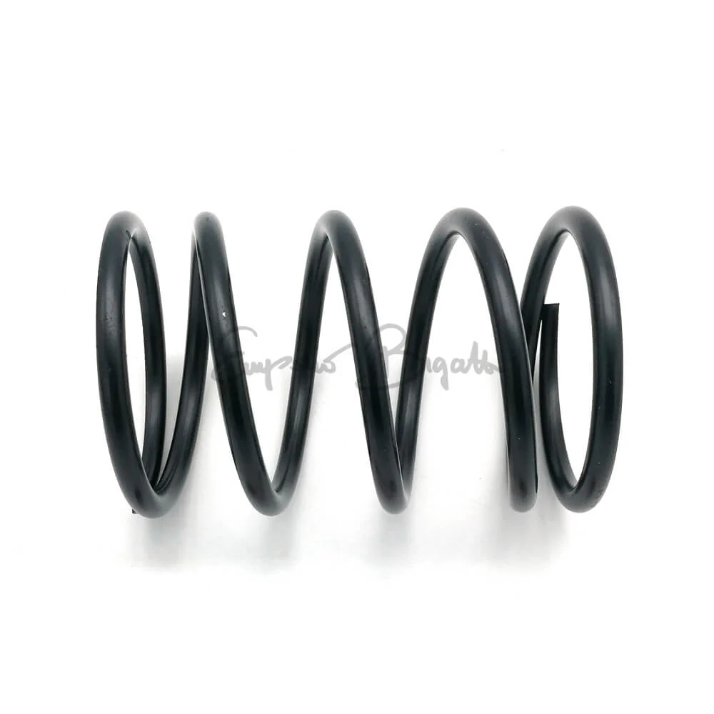 Molla supporto motore | Fiat 500 N D F L |