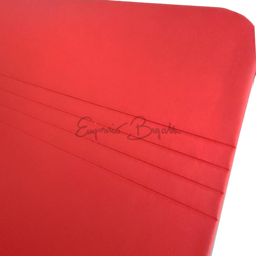 Coppia pannelli porta anteriore Alta Qualità destro + sinistro colore rosso Vivace | Fiat 500 F | - Image 2