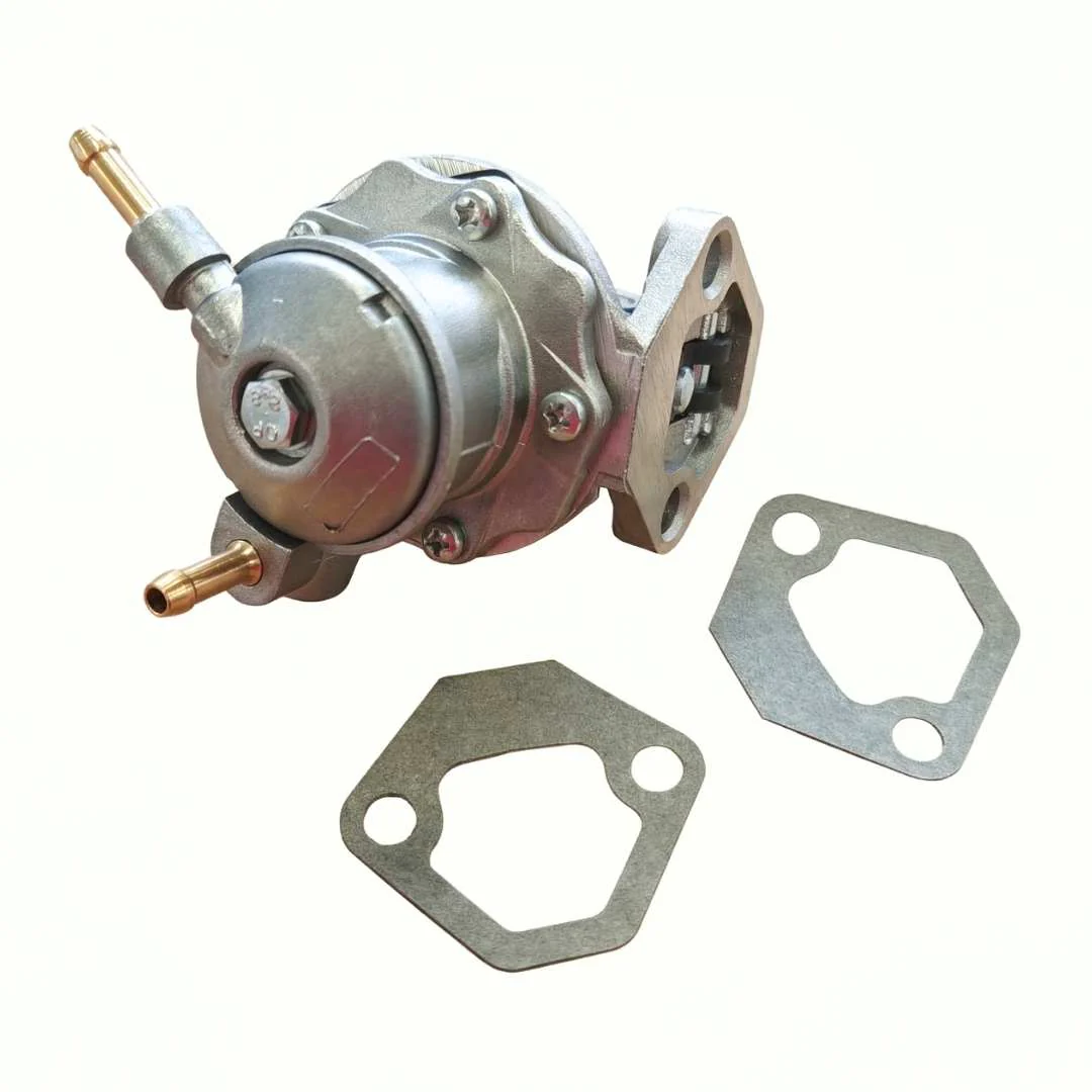 Pompa Benzina Standard Fiat 500 D F L R | Con Guarnizioni